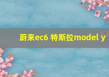 蔚来ec6 特斯拉model y